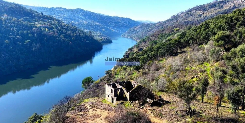 Terreno para Venda em Baião (Santa Leocádia) e Mesquinhata Foto 3