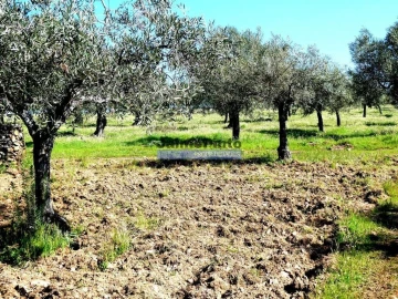 Terreno Misto para Venda em Escalhão