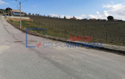 Terreno para Venda em Poiares e Canelas