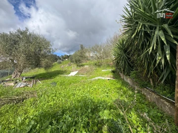 Terreno P/ Prédio para Venda em Nossa Senhora das Misericordias