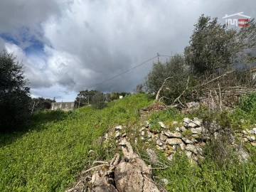 Terreno P/ Prédio para Venda em Nossa Senhora das Misericordias