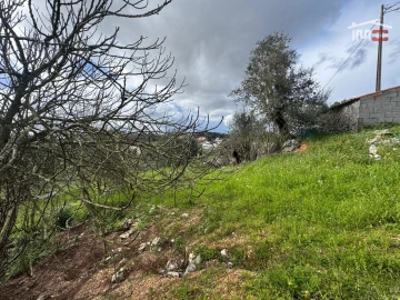 Terreno P/ Prédio para Venda em Nossa Senhora das Misericordias