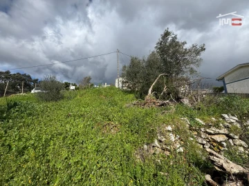 Terreno P/ Prédio para Venda em Nossa Senhora das Misericordias