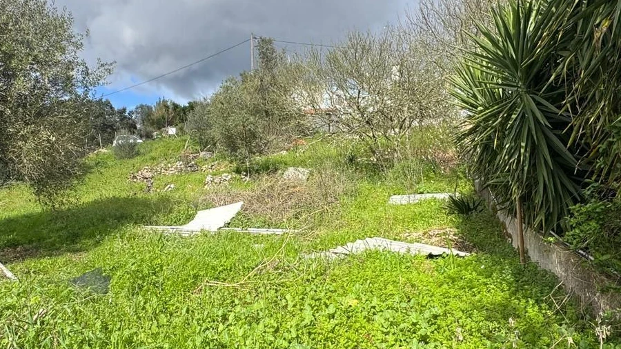 Terreno P/ Prédio para Venda em Nossa Senhora das Misericordias