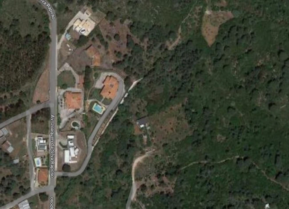 Terreno Agricola ou Rústico para Venda em Minde Foto 1