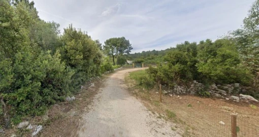 Terreno Agricola ou Rústico para Venda em Minde