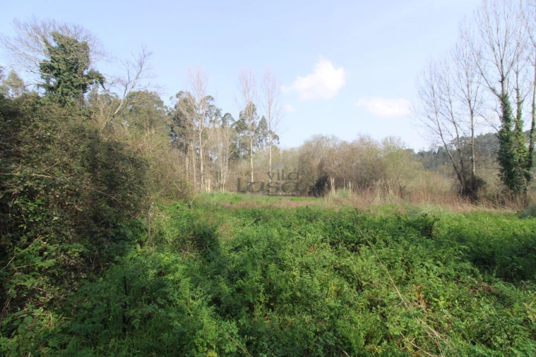 Terreno Agricola ou Rústico para Venda em Sandim, Olival, Lever e Crestuma Foto 3