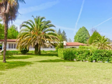 Apartamento T5 para Arrendamento em Lordelo