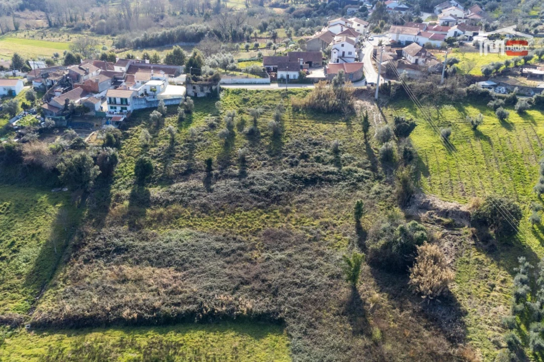 Terreno para Venda em Gondemaria e Olival Foto 4