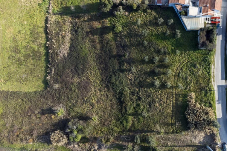 Terreno para Venda em Gondemaria e Olival Foto 6