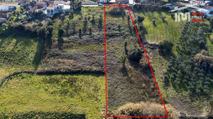 Terreno para Venda em Gondemaria e Olival