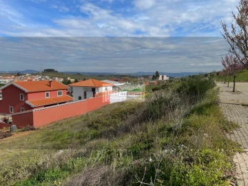 Terreno para Venda em Alfandega da Fe
