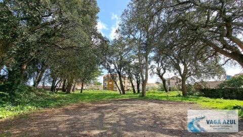 Terreno Agricola ou Rústico para Venda em Rio Tinto
