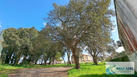 Terreno Agricola ou Rústico para Venda em Rio Tinto