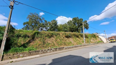 Terreno Agricola ou Rústico para Venda em Rio Tinto