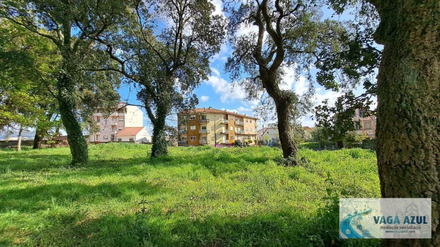 Terreno Agricola ou Rústico para Venda em Rio Tinto