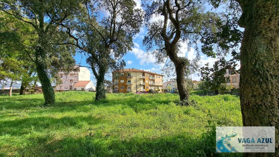 Terreno Agricola ou Rústico para Venda em Rio Tinto