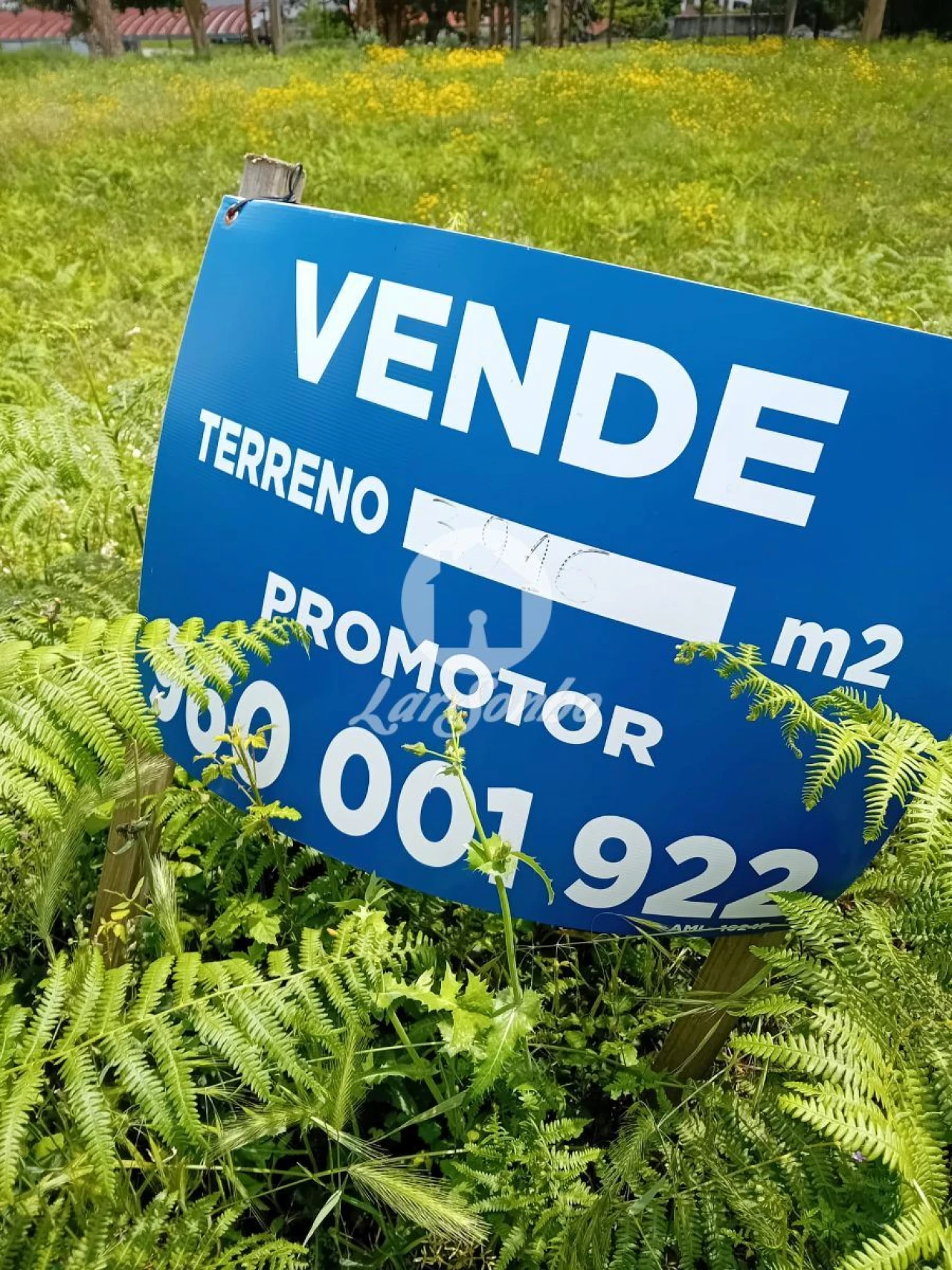 Terreno para Venda em Silvares, Pias, Nogueira e Alvarenga Foto 3