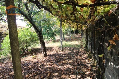 Terreno para Venda em Canidelo