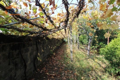 Terreno para Venda em Canidelo