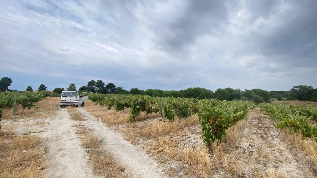 Terreno para Venda em Setubal (São Sebastião) Foto 5