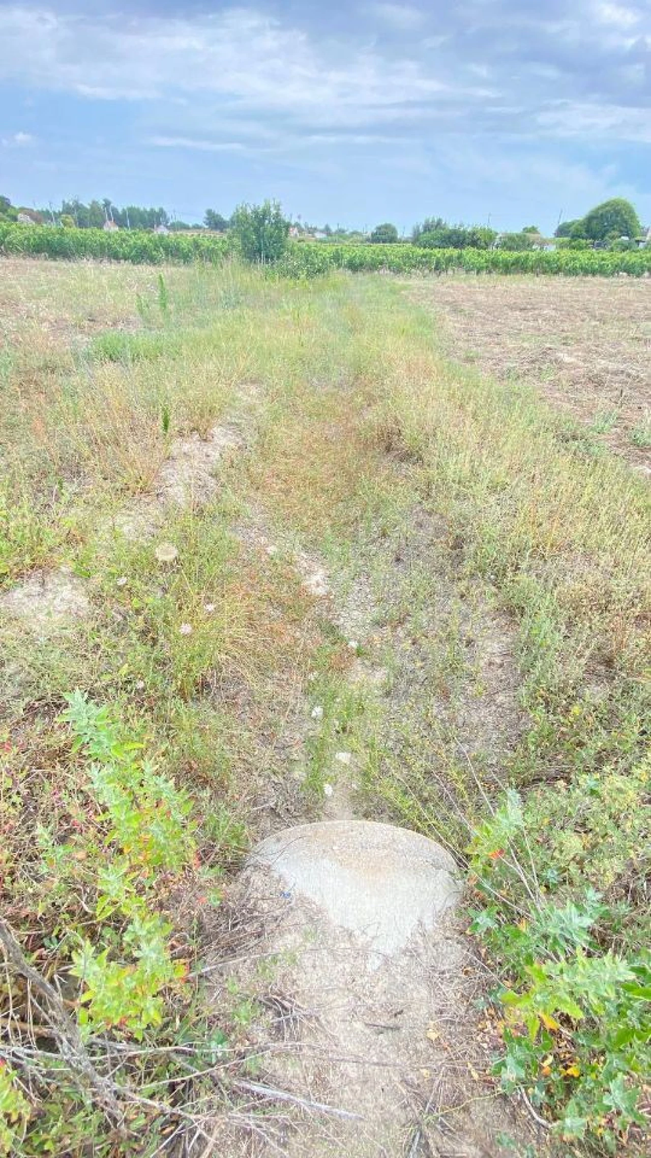 Terreno para Venda em Setubal (São Sebastião) Foto 14