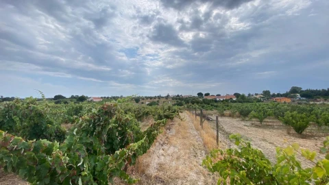 Terreno para Venda em Setubal (São Sebastião)