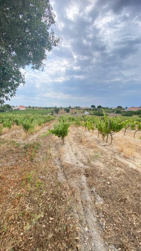 Terreno para Venda em Setubal (São Sebastião)