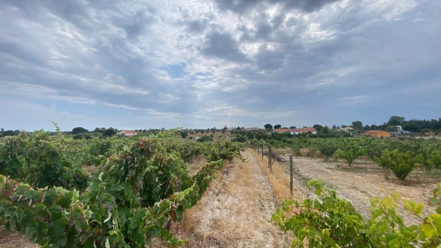 Terreno para Venda em Setubal (São Sebastião) Foto 6