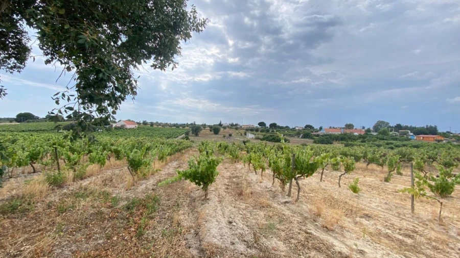 Terreno para Venda em Setubal (São Sebastião)