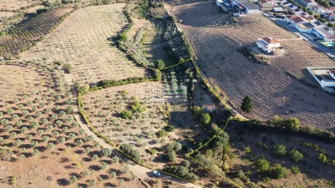 Quinta para Venda em Alfandega da Fe