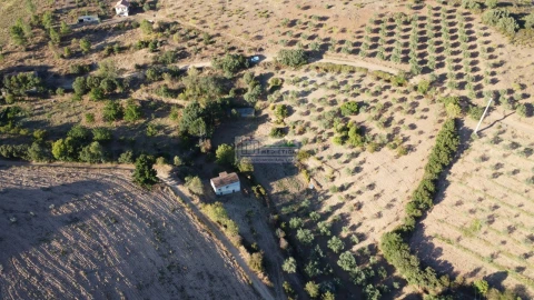 Quinta para Venda em Alfandega da Fe