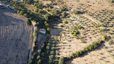 Quinta para Venda em Alfandega da Fe
