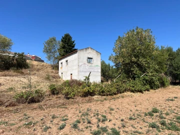 Quinta para Venda em Alfandega da Fe