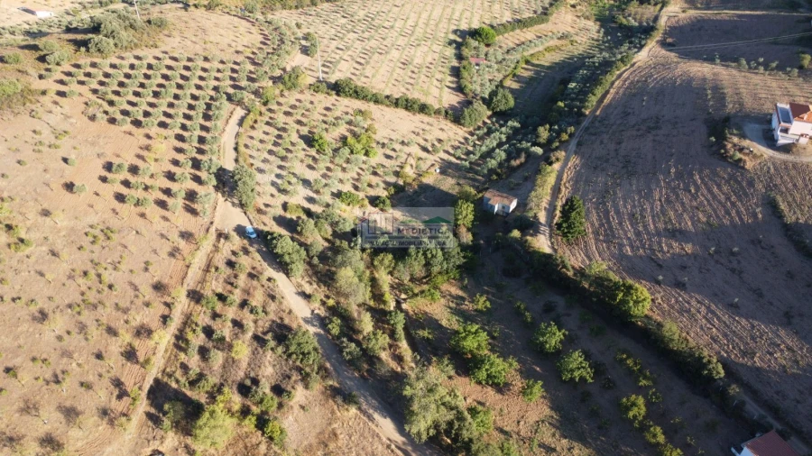 Quinta para Venda em Alfandega da Fe Foto 4