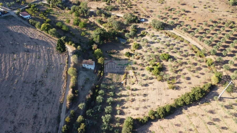 Quinta para Venda em Alfandega da Fe Foto 6