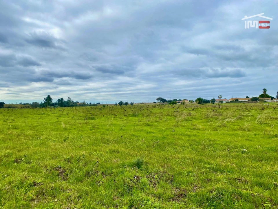 Terreno Agricola ou Rústico para Venda em Poceirão e Marateca Foto 5