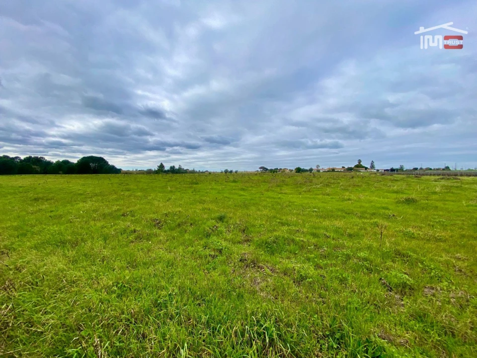 Terreno Agricola ou Rústico para Venda em Poceirão e Marateca Foto 8