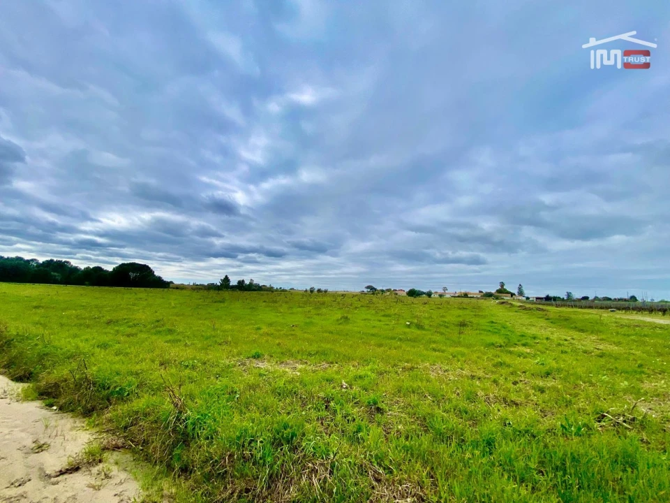 Terreno Agricola ou Rústico para Venda em Poceirão e Marateca Foto 3
