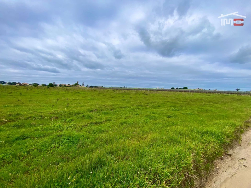 Terreno Agricola ou Rústico para Venda em Poceirão e Marateca Foto 2