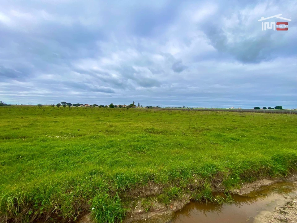 Terreno Agricola ou Rústico para Venda em Poceirão e Marateca Foto 6