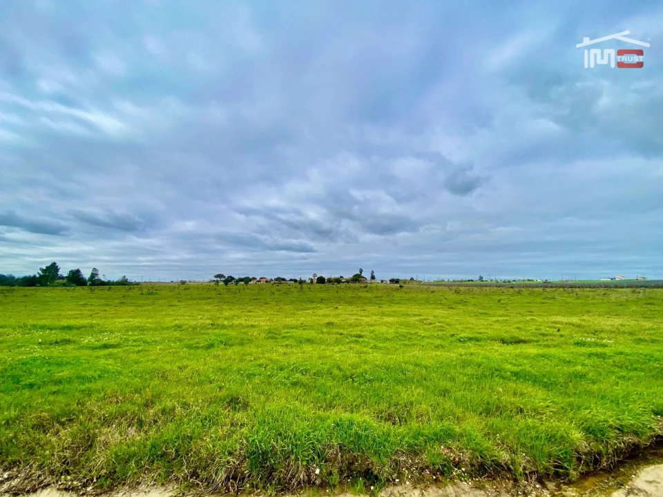 Terreno Agricola ou Rústico para Venda em Poceirão e Marateca Foto 17