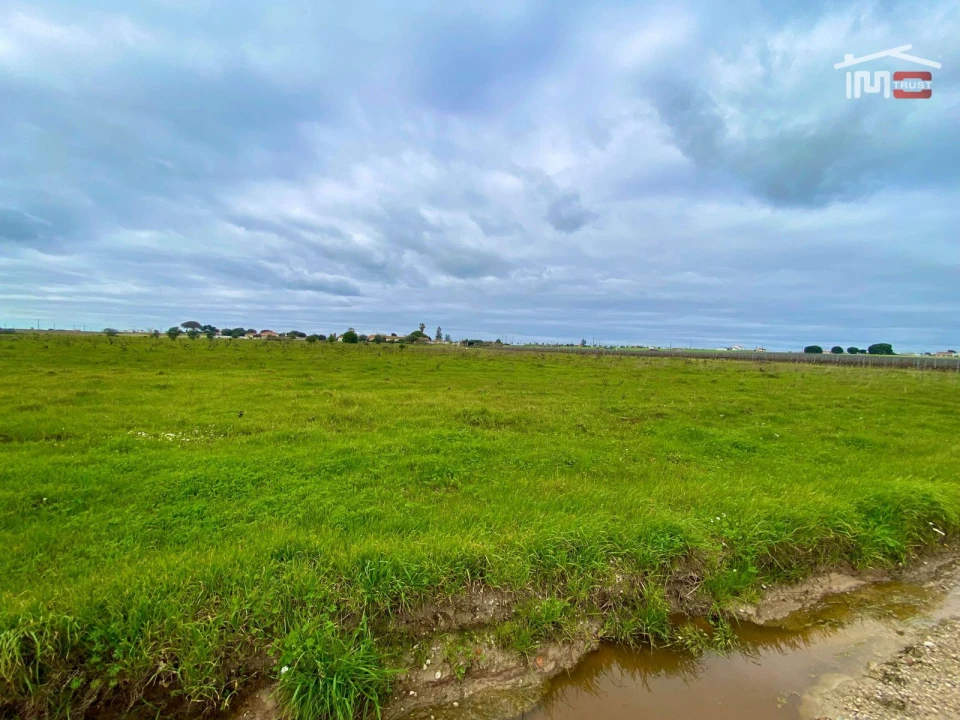 Terreno Agricola ou Rústico para Venda em Poceirão e Marateca Foto 19