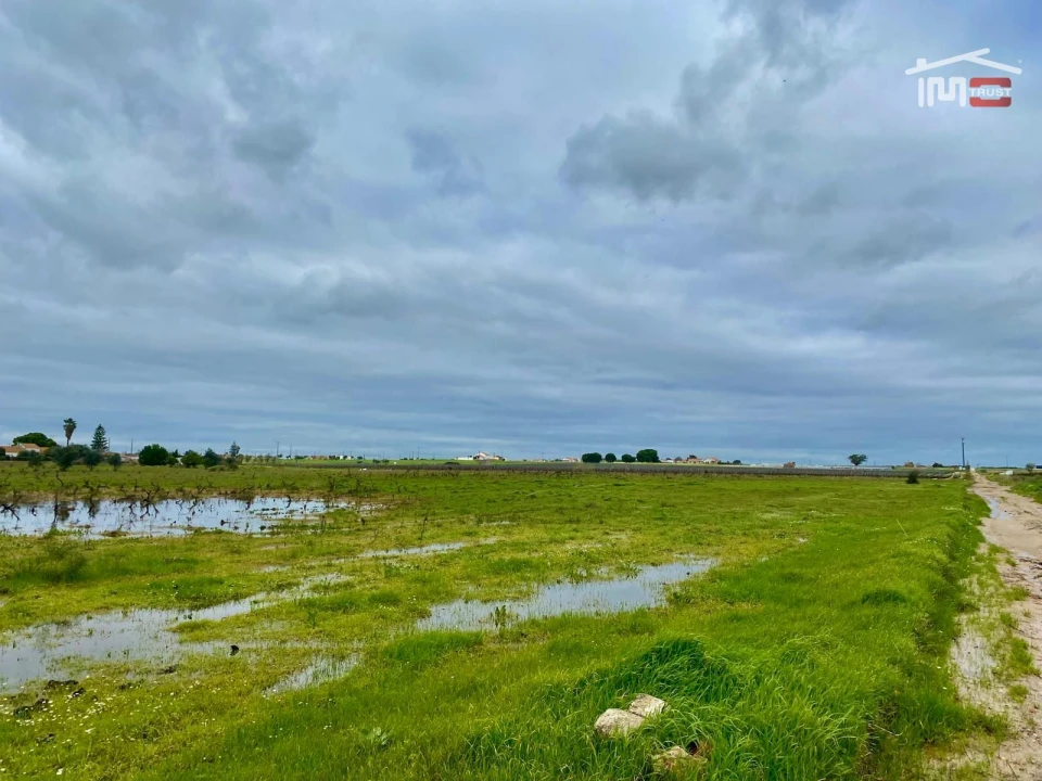 Terreno Agricola ou Rústico para Venda em Poceirão e Marateca Foto 28
