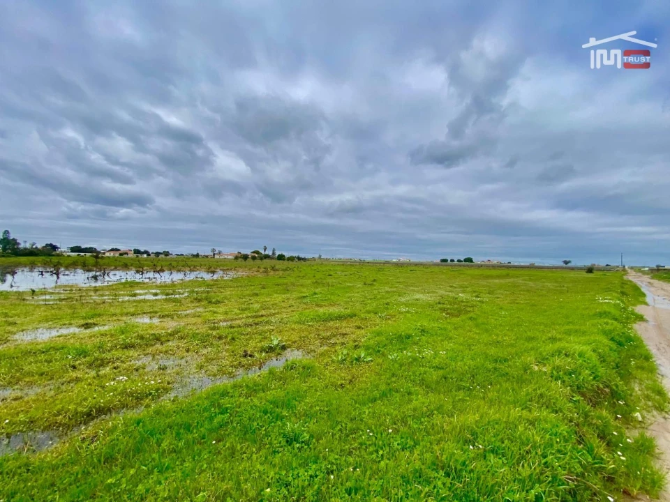 Terreno Agricola ou Rústico para Venda em Poceirão e Marateca Foto 32