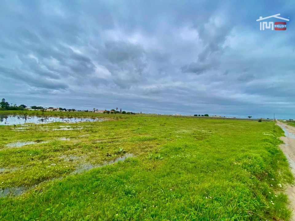 Terreno Agricola ou Rústico para Venda em Poceirão e Marateca Foto 33