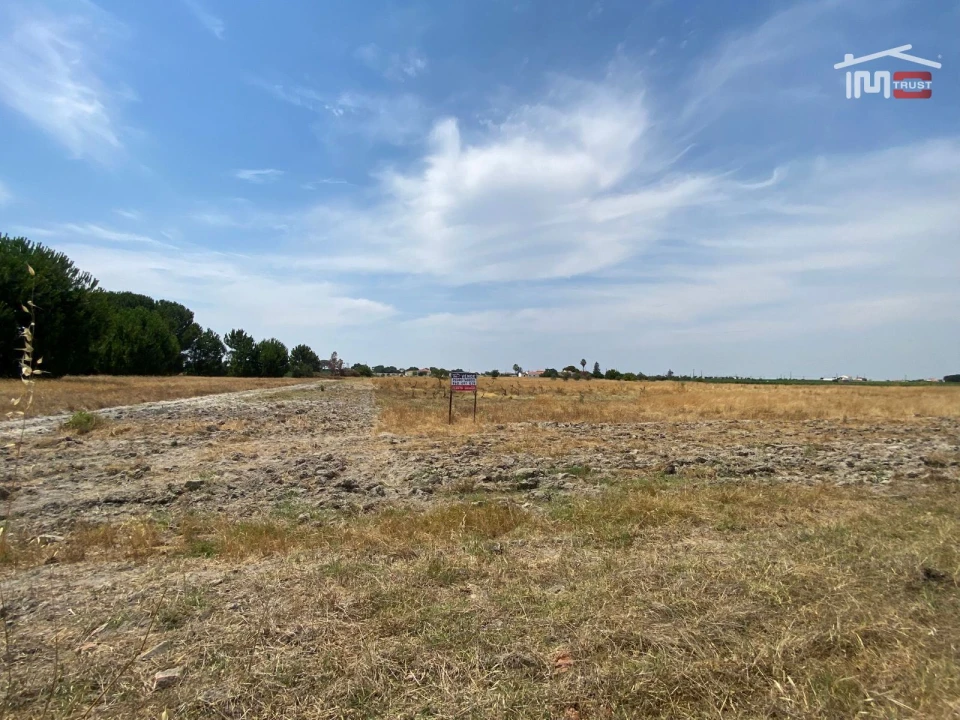 Terreno Agricola ou Rústico para Venda em Poceirão e Marateca Foto 3