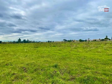 Terreno Agricola ou Rústico para Venda em Poceirão e Marateca