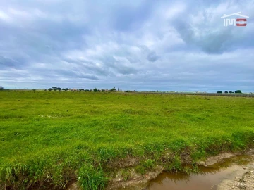 Terreno Agricola ou Rústico para Venda em Poceirão e Marateca