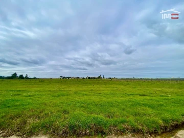 Terreno Agricola ou Rústico para Venda em Poceirão e Marateca
